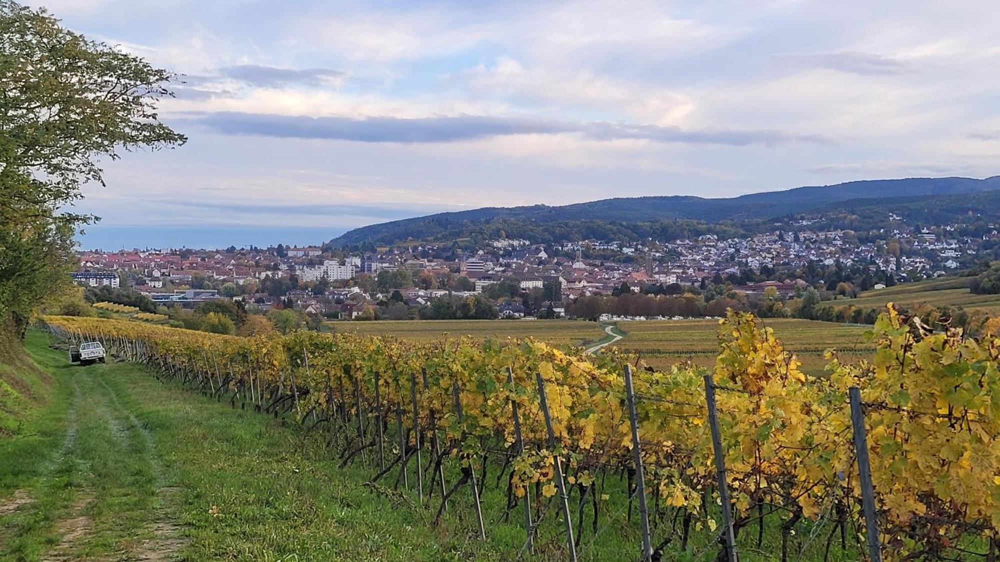 Ihr Bett Mit Blick Auf Die Weinberge Bad Dürkheim Екстериор снимка